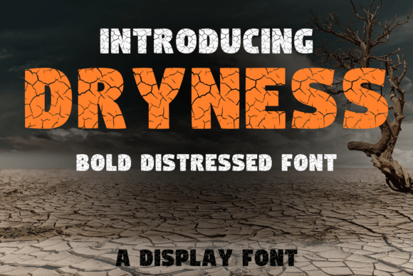 Dryness Font: Elevate Your Creative Design Projects